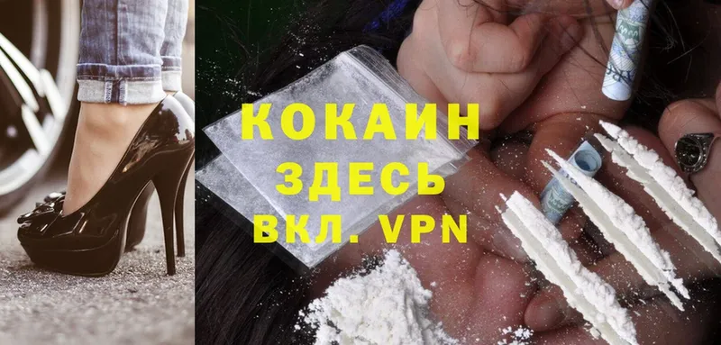 КОКАИН Fish Scale  Печора 