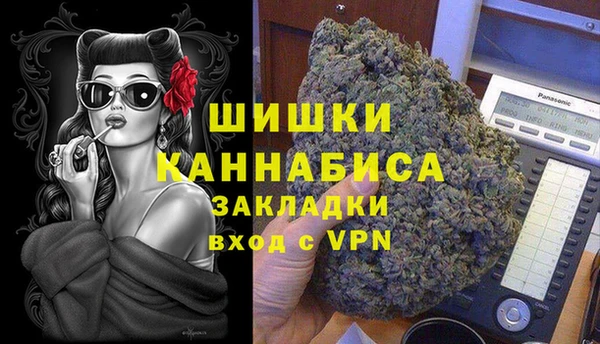 индика Вяземский